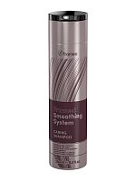 Шампунь для домашнего ухода, разглаживающий  FRAMESI SMOOTHING SYSTEM CARING SHAMPOO, 250 мл