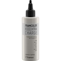 Прямой пигмент FRAMCOLOR EXTRA CHARGE SILVER (серебро) 16