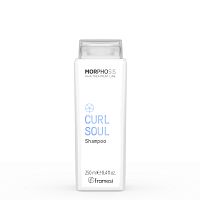 Шампунь для кудрявых и вьющихся волос CURL SOUL SHAMPOO 250 мл